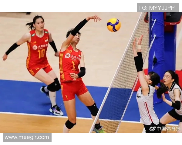深圳排球队的团队协作与战术配合深度剖析与探讨